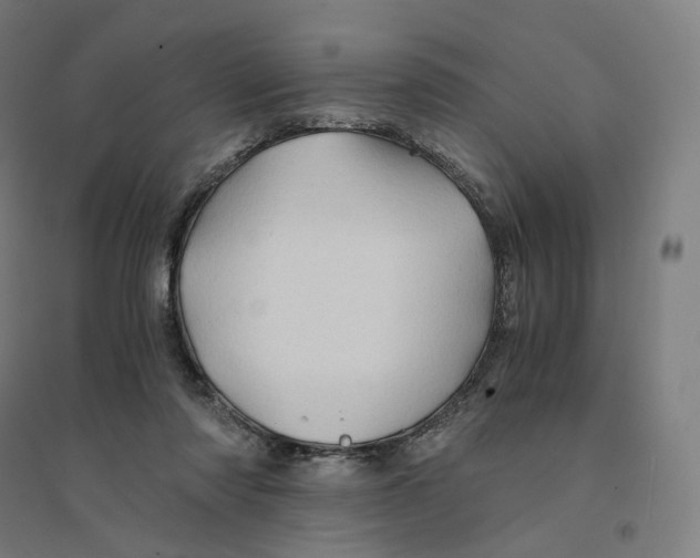 X0000094450310200712061206