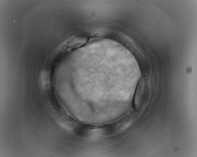 X0000094450312200712061206