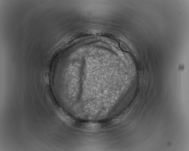 X0000094450313200712061206