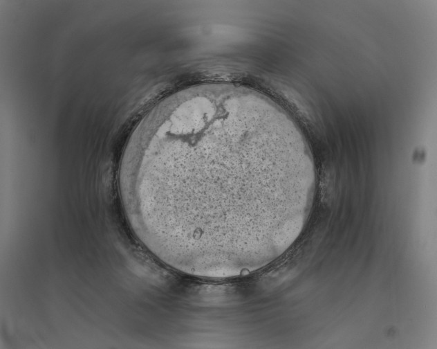 X0000094450314200712061206