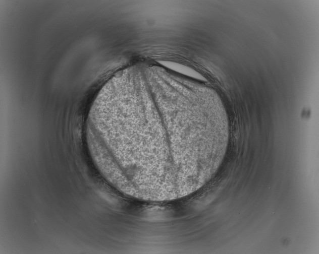 X0000094450315200712061206