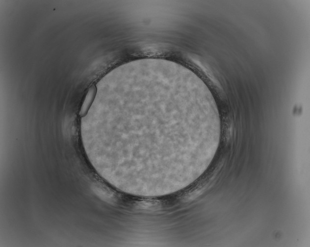 X0000094450317200712061206