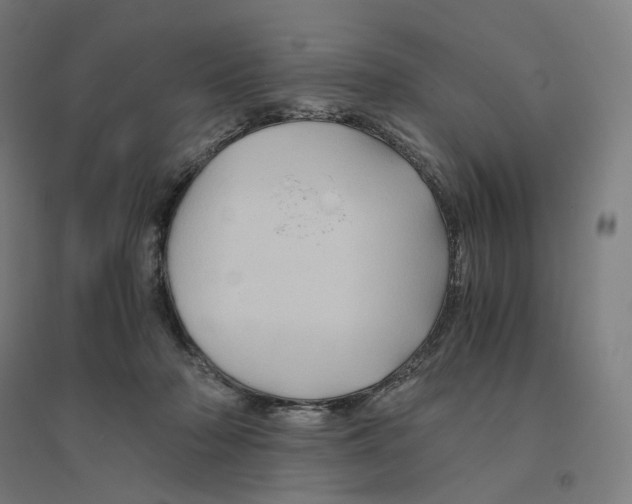 X0000094450318200712061206