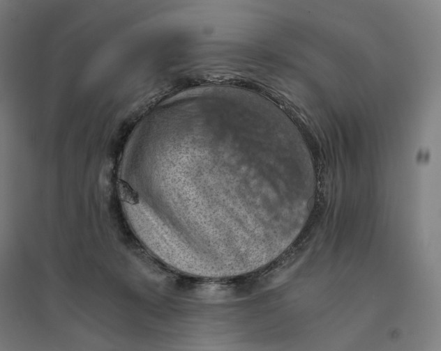 X0000094450319200712061206