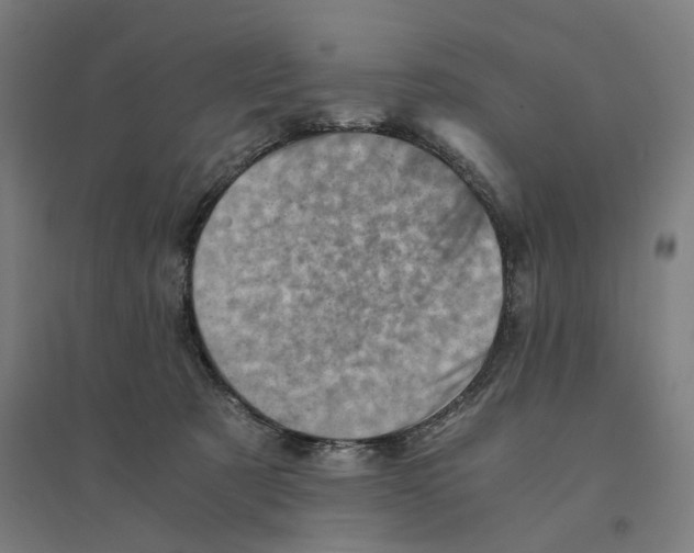 X0000094450321200712061206