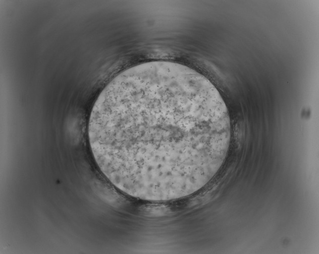 X0000094450322200712061206