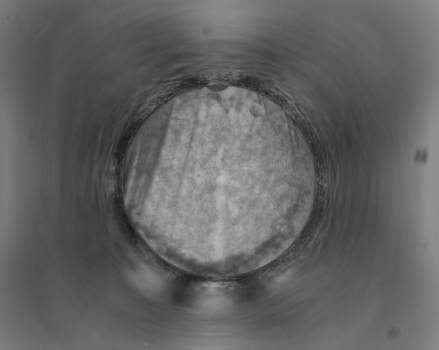 X0000094450323200712061206