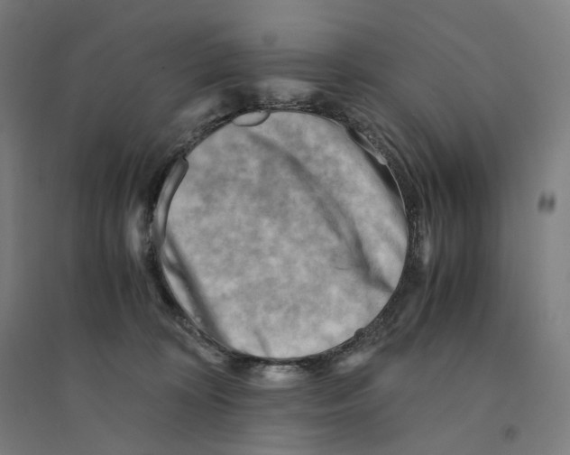 X0000094450324200712061206