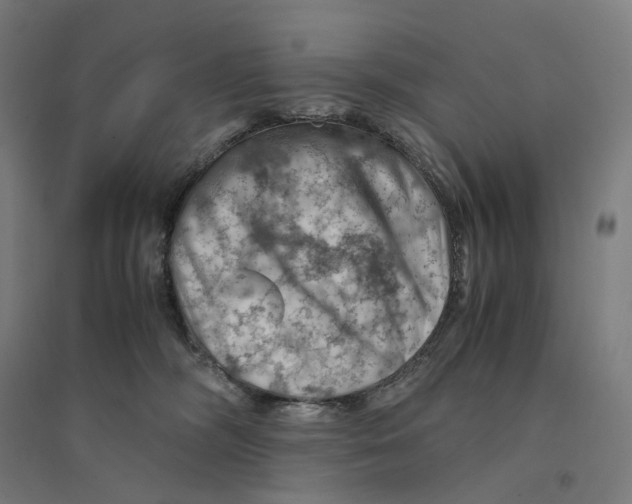 X0000094450326200712061206