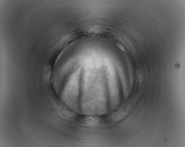 X0000094450328200712061206