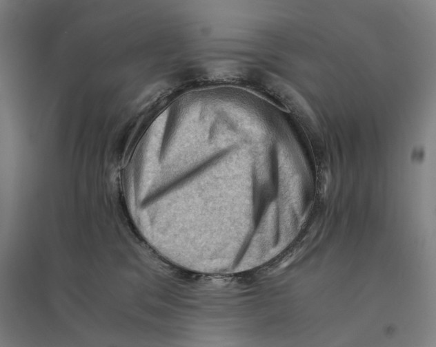 X0000094450329200712061206