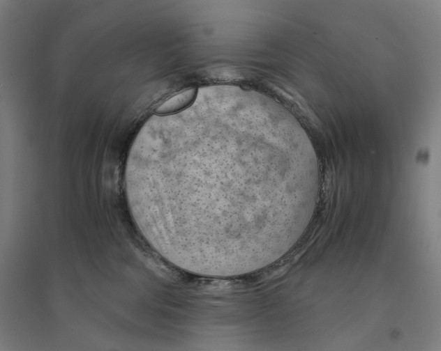 X0000094450330200712061206