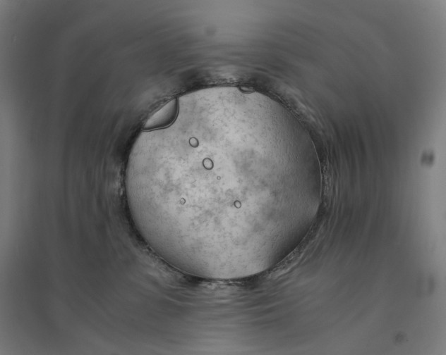 X0000094450331200712061206