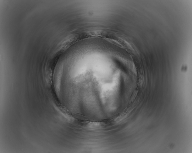 X0000094450332200712061206