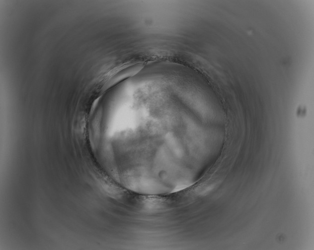 X0000094450336200712061206