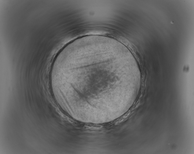 X0000094450337200712061205