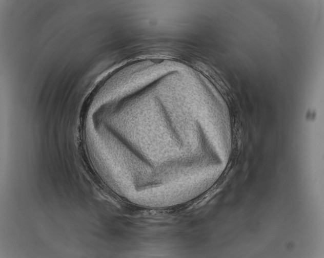 X0000094450338200712061205