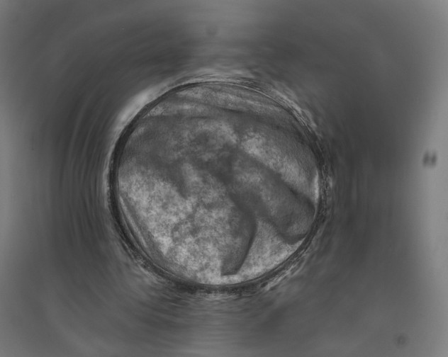 X0000094450340200712061205