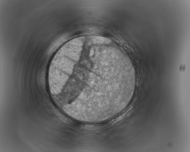 X0000094450341200712061205