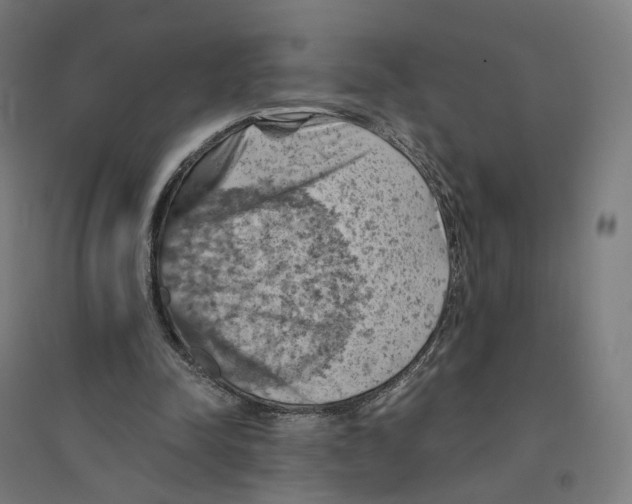 X0000094450342200712061205