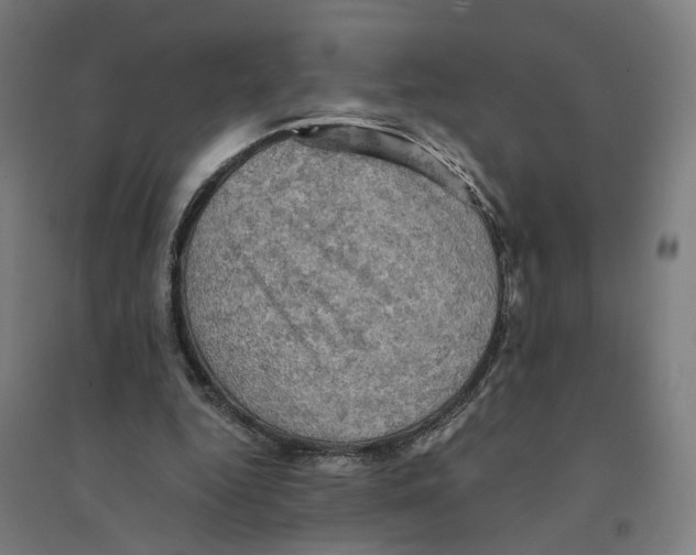 X0000094450344200712061205