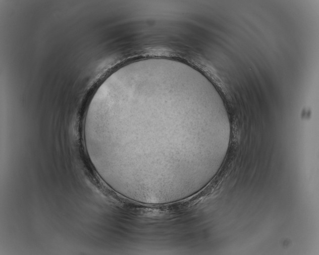 X0000094450347200712061205