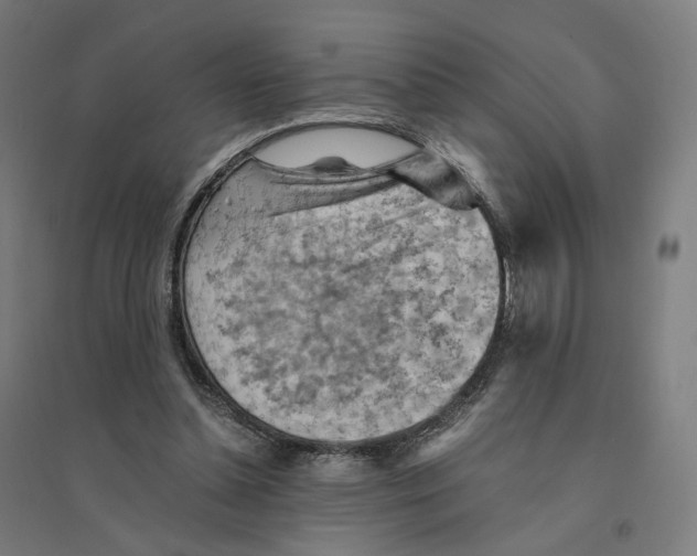 X0000094450348200712061205