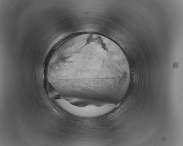 X0000094450350200712061205