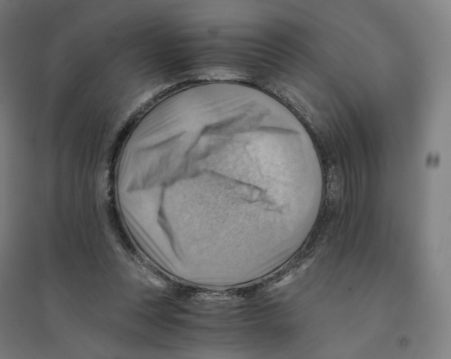 X0000094450351200712061205