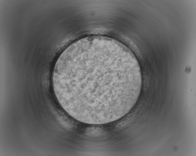 X0000094450354200712061205