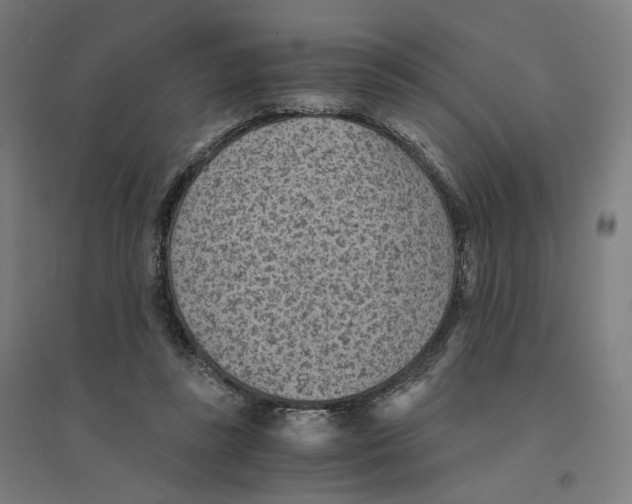 X0000094450355200712061205