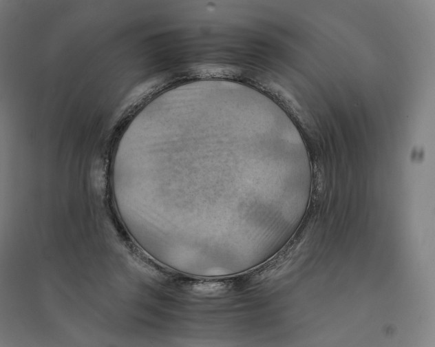 X0000094450357200712061205