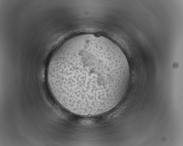 X0000094450358200712061205