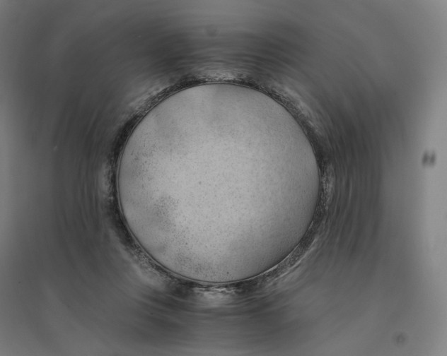 X0000094450359200712061205