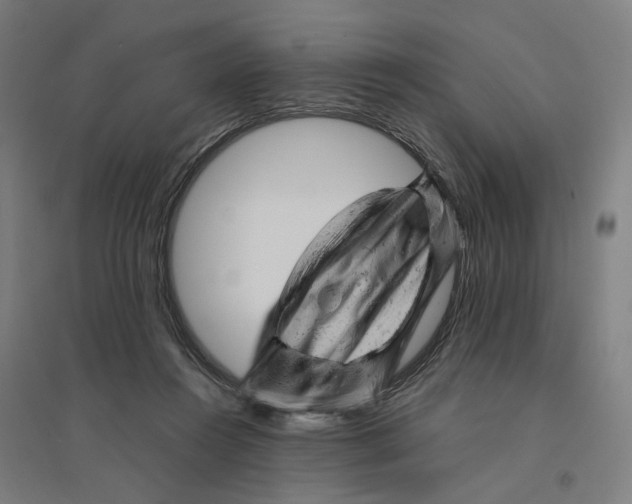 X0000094450360200712061205