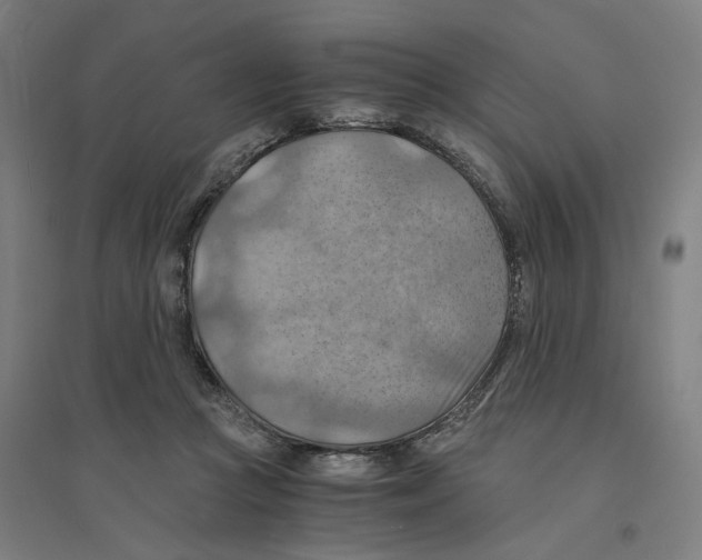 X0000094450361200712061205