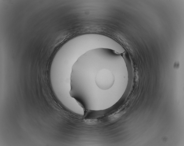 X0000094450362200712061205