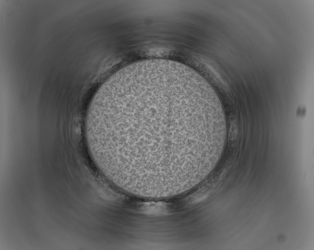 X0000094450363200712061205