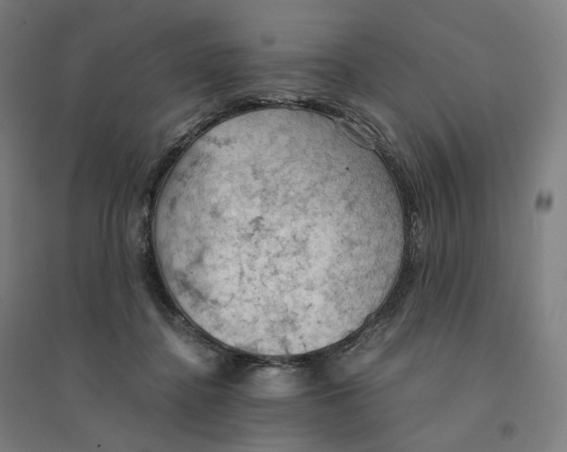 X0000094450364200712061205