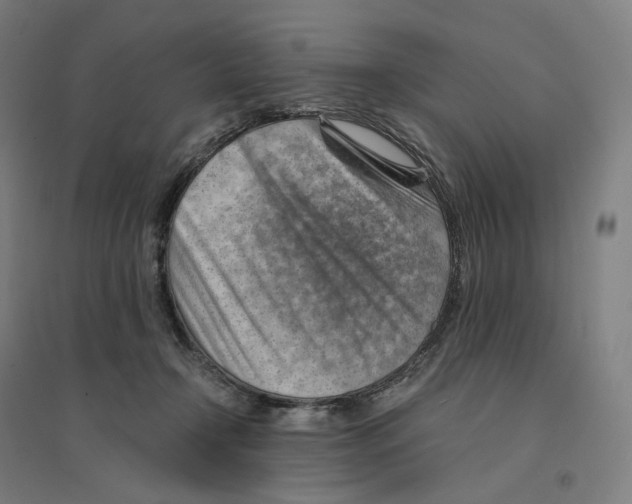 X0000094450366200712061205