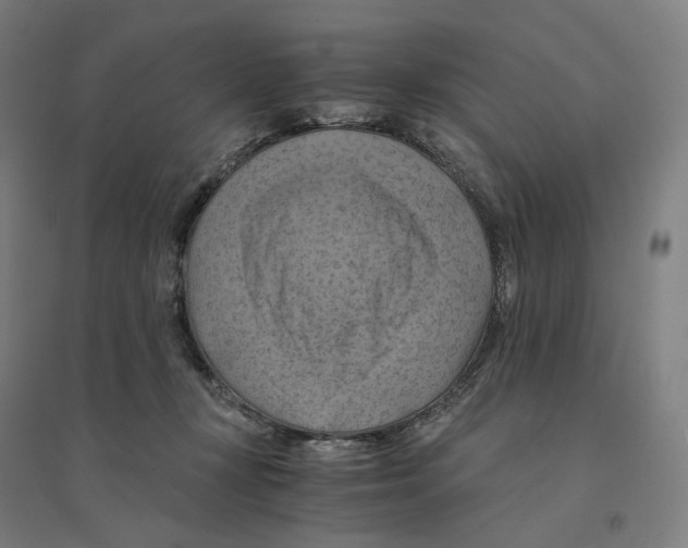 X0000094450367200712061205