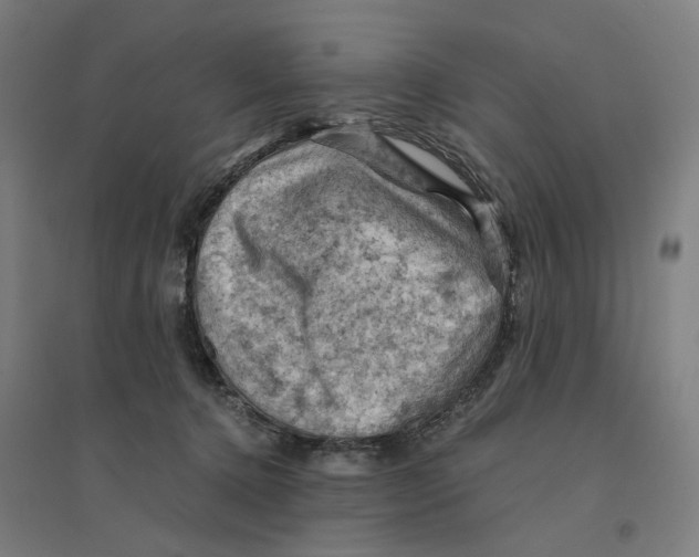 X0000094450368200712061205