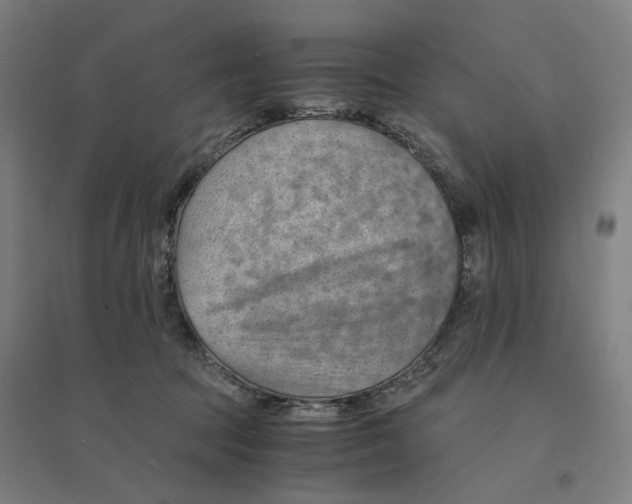 X0000094450369200712061205