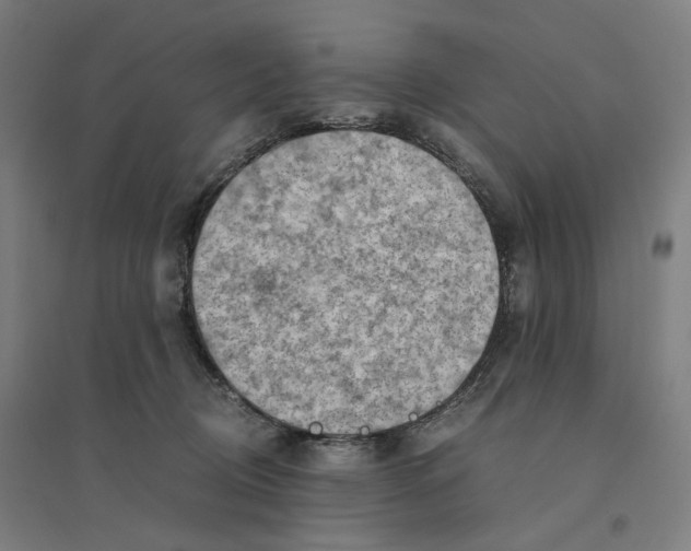 X0000094450370200712061205