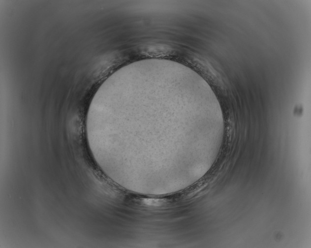 X0000094450371200712061205