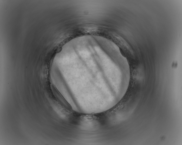 X0000094450372200712061205