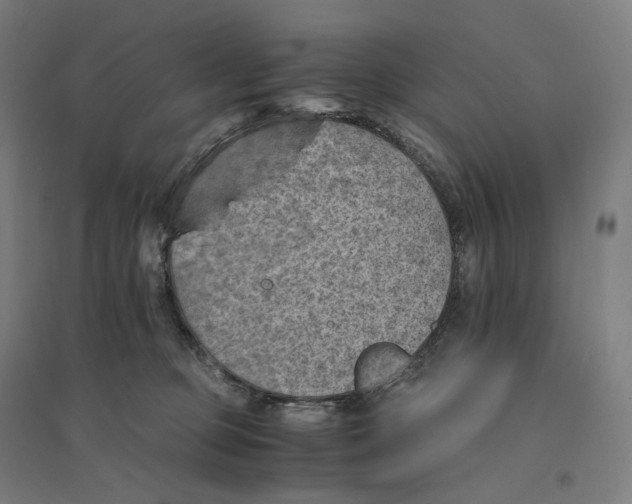 X0000094450373200712061206