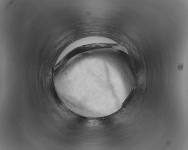 X0000094450376200712061206