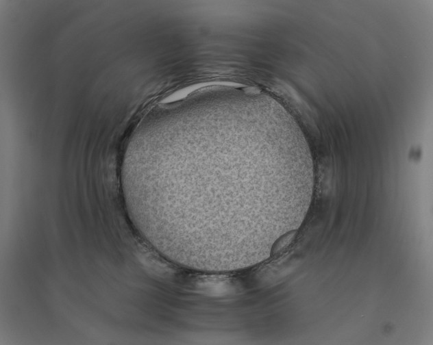 X0000094450377200712061206