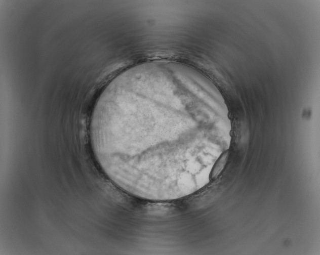 X0000094450378200712061206